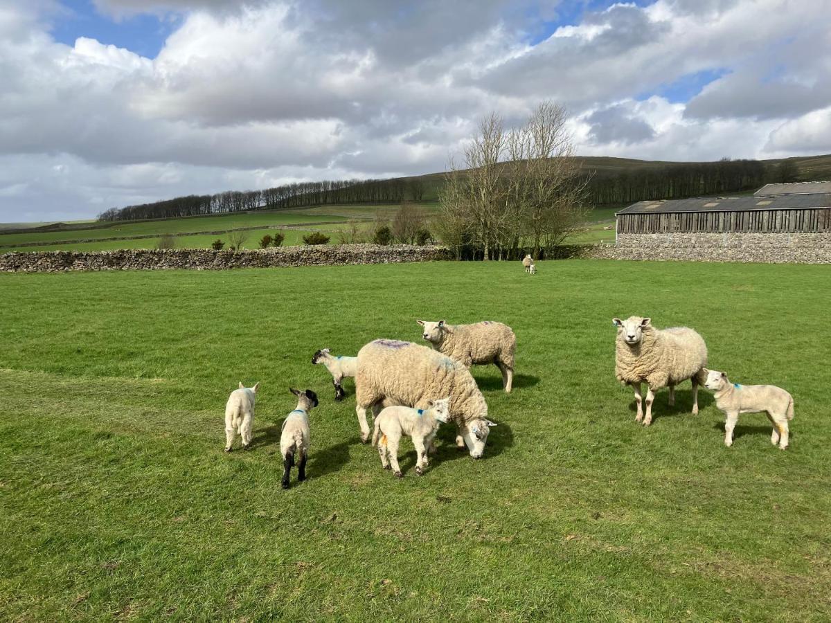 Sweet Knoll Farm Villa Peak Forest Bagian luar foto